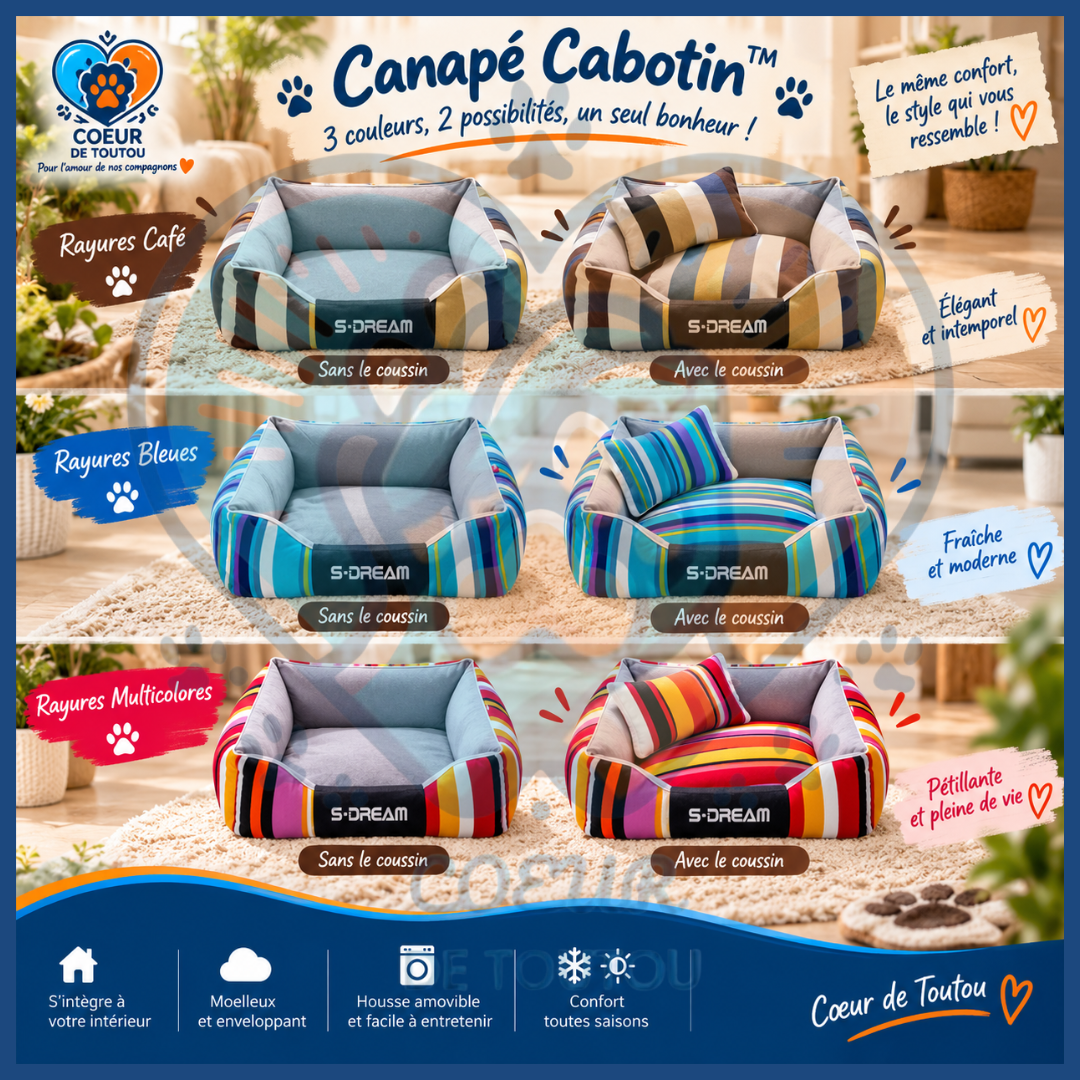 Canapé pour chien chic et déhoussable | Canapé Cabotin™