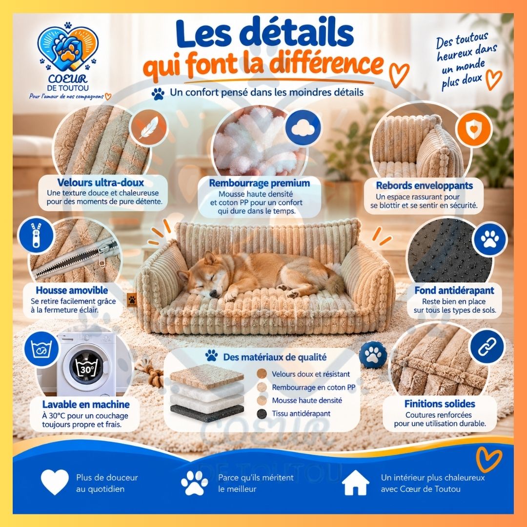 canapé orthopédique pour chien