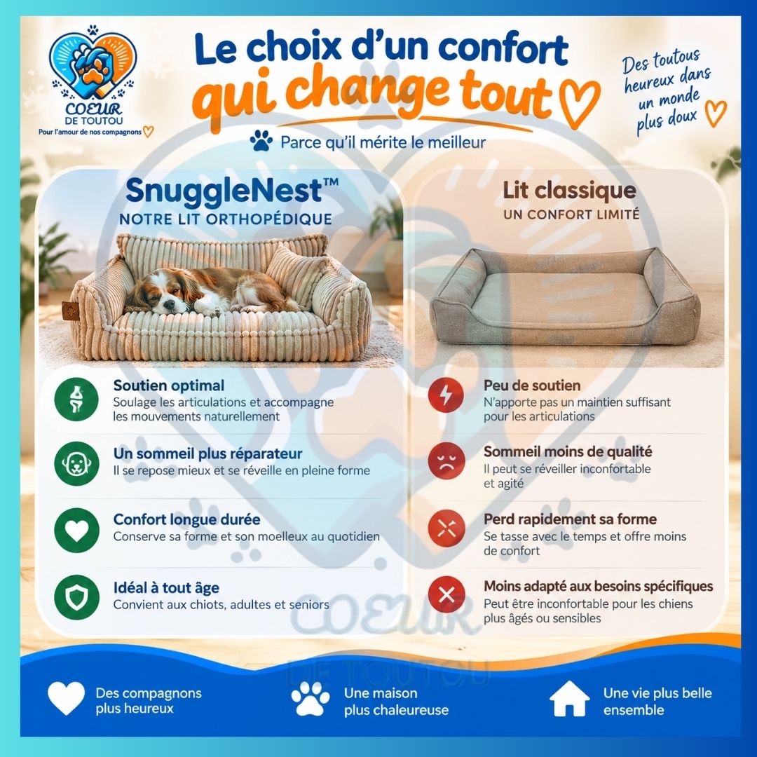canapé orthopédique pour chien