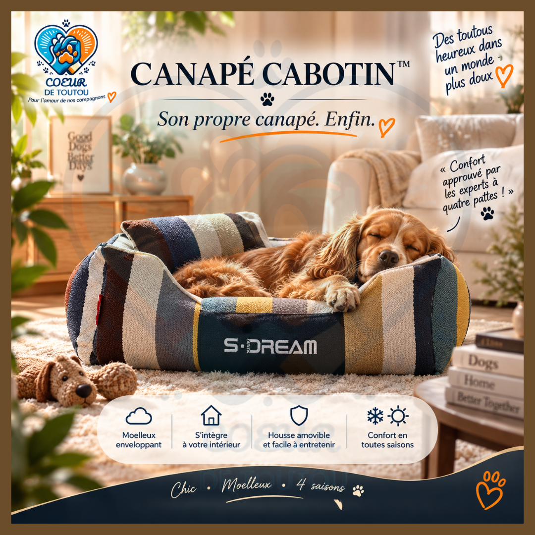 Canapé pour chien chic et déhoussable | Canapé Cabotin™