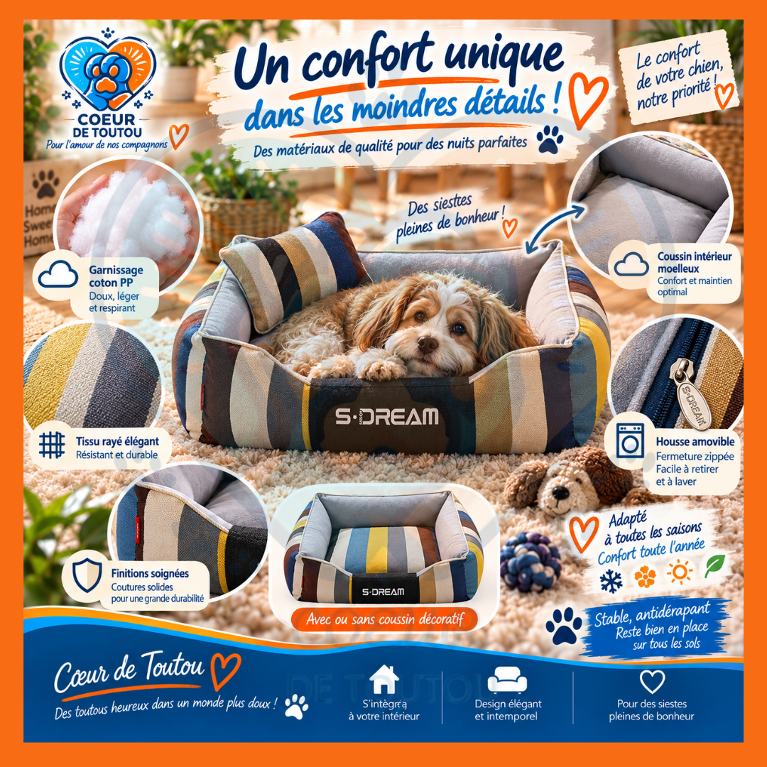 Canapé pour chien chic et déhoussable | Canapé Cabotin™