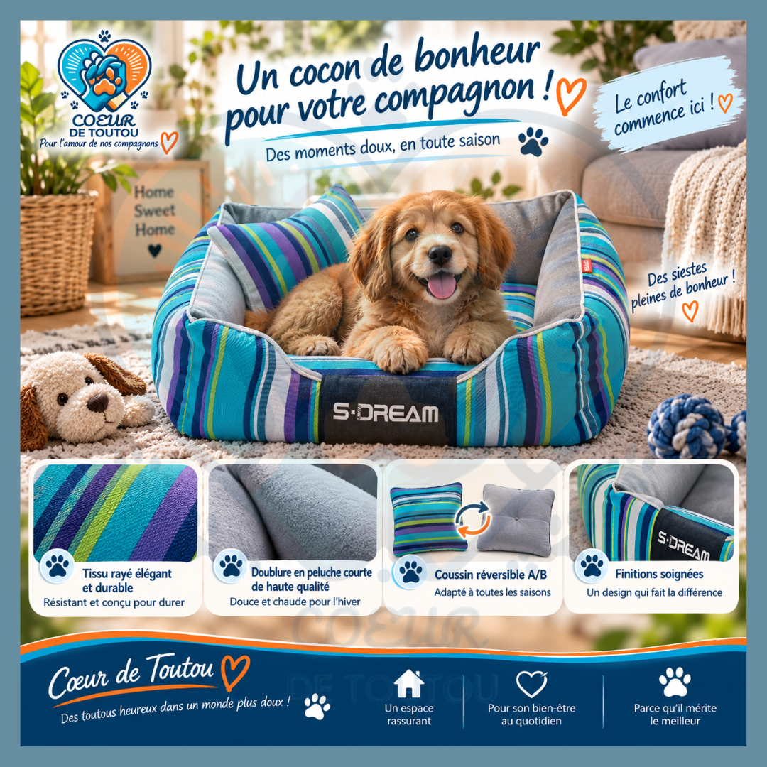 Canapé pour chien chic et déhoussable | Canapé Cabotin™