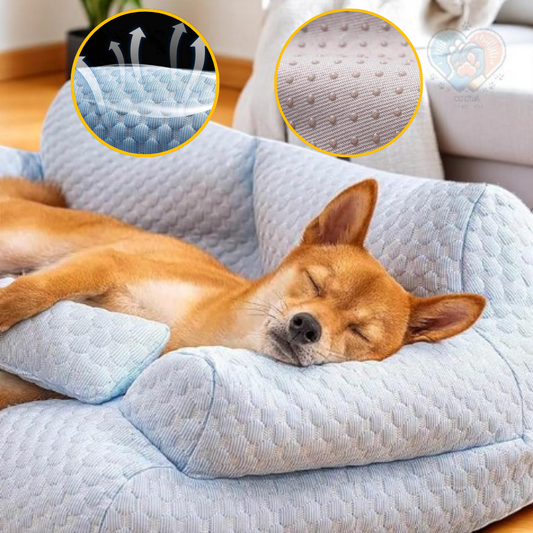 Canapé pour Chien Rafraîchissant | Nuage Polaire™