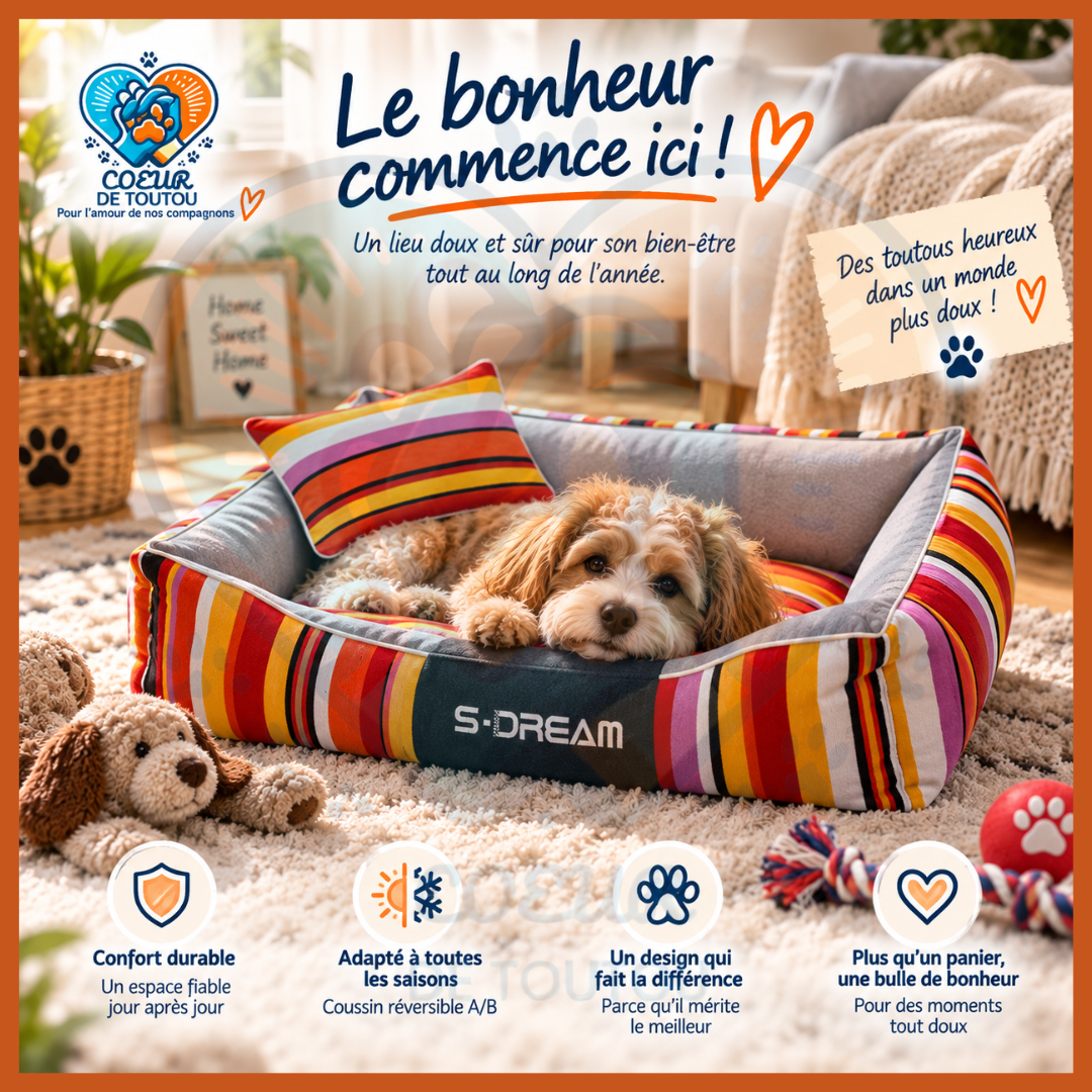 Canapé pour chien chic et déhoussable | Canapé Cabotin™