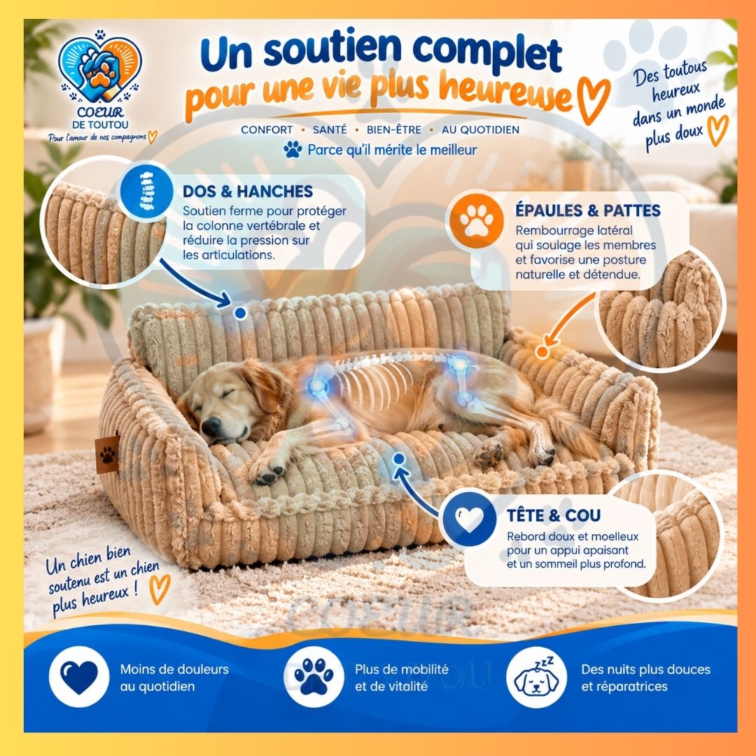 canapé orthopédique pour chien