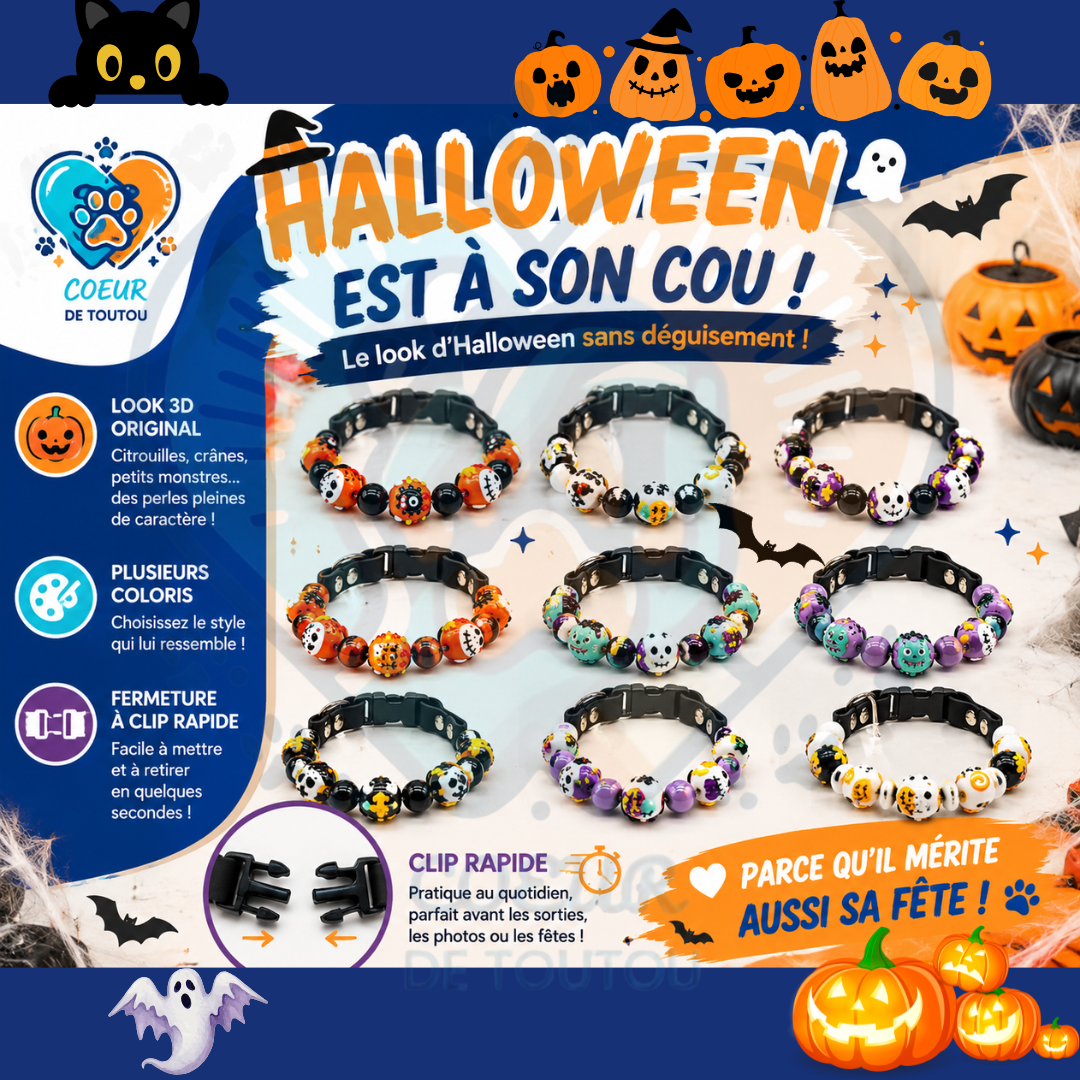 Collier Halloween pour Chien à Perles 3D | BooCollar™