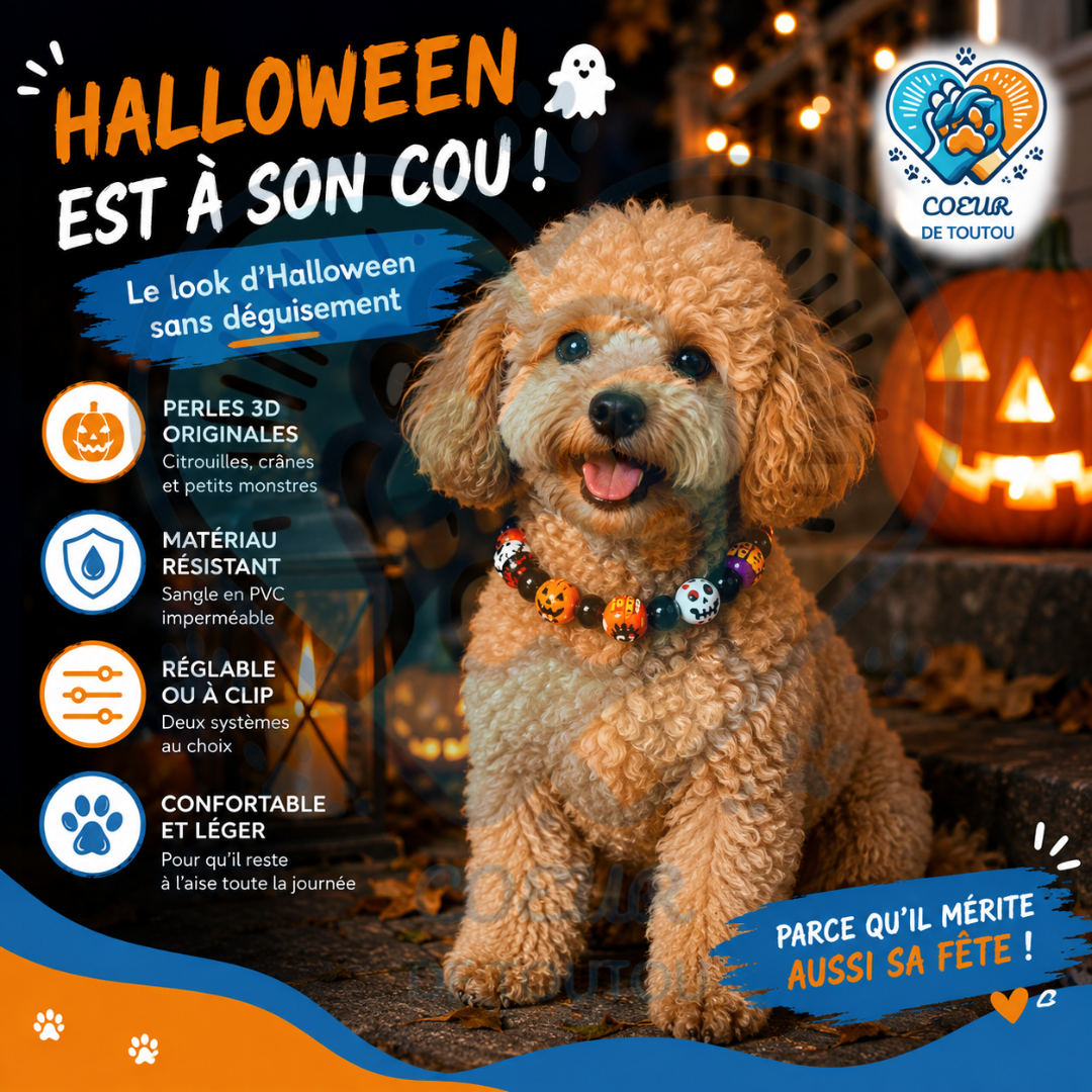 Collier Halloween pour Chien à Perles 3D | BooCollar™
