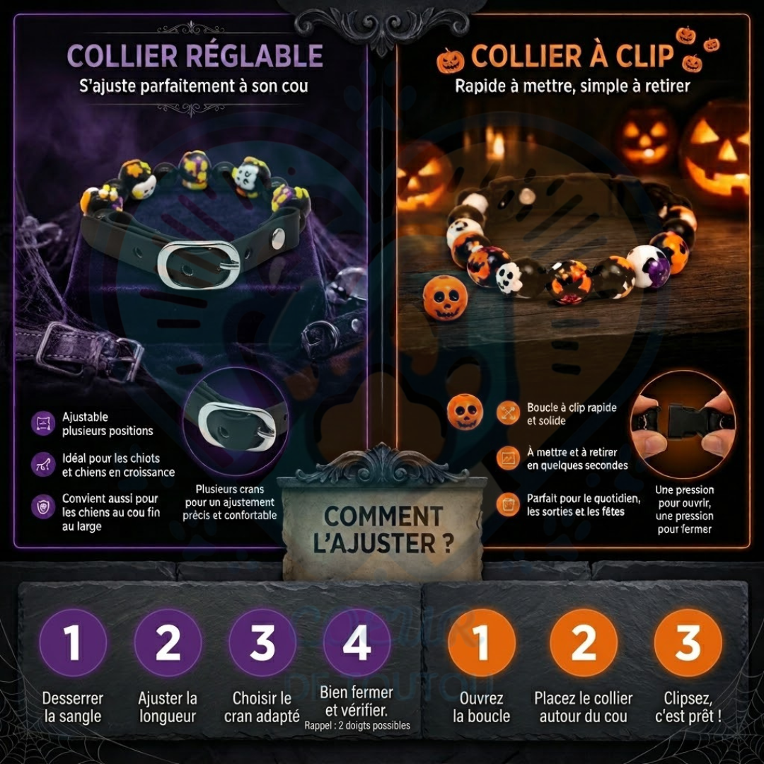 Collier Halloween pour Chien à Perles 3D | BooCollar™