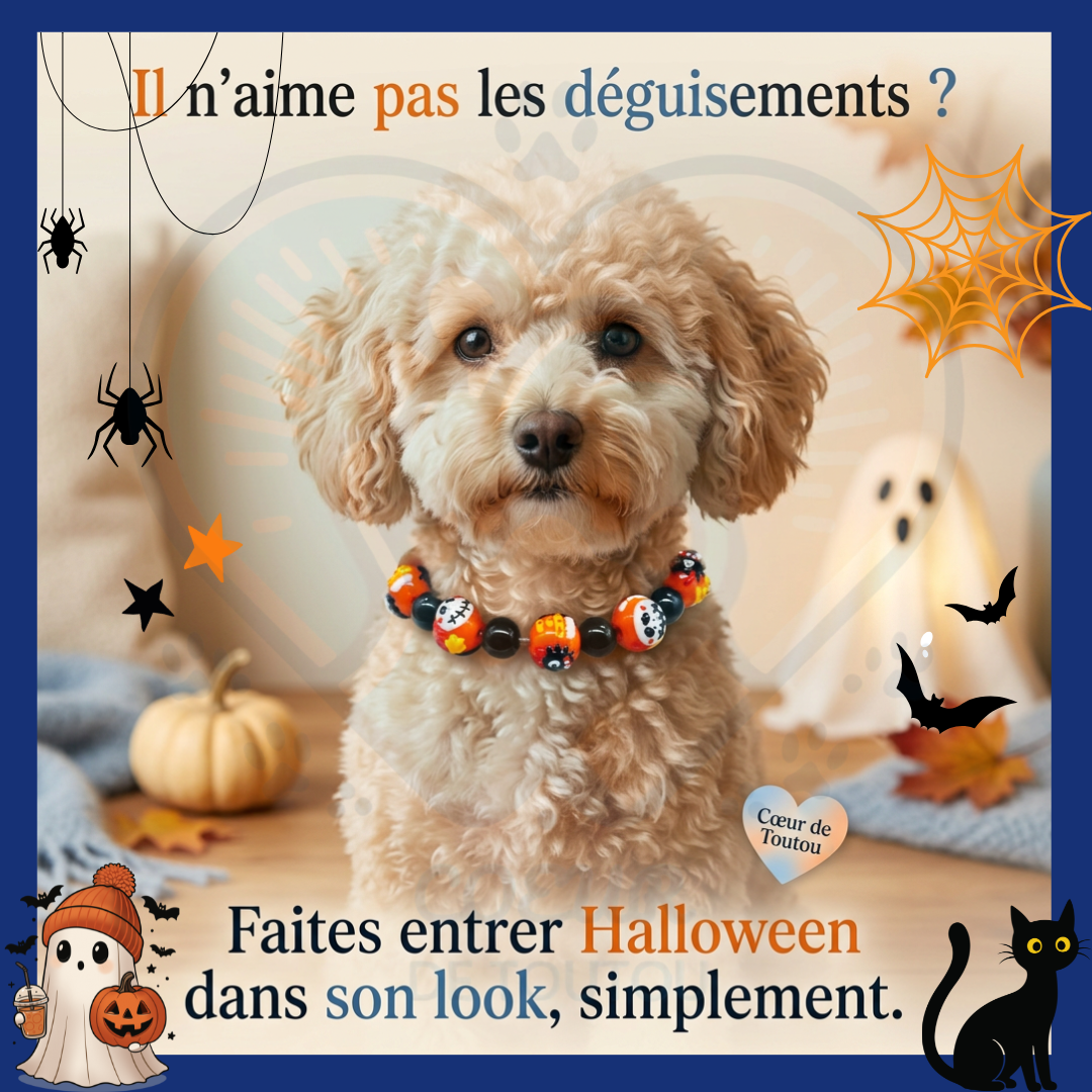 Collier Halloween pour Chien à Perles 3D | BooCollar™
