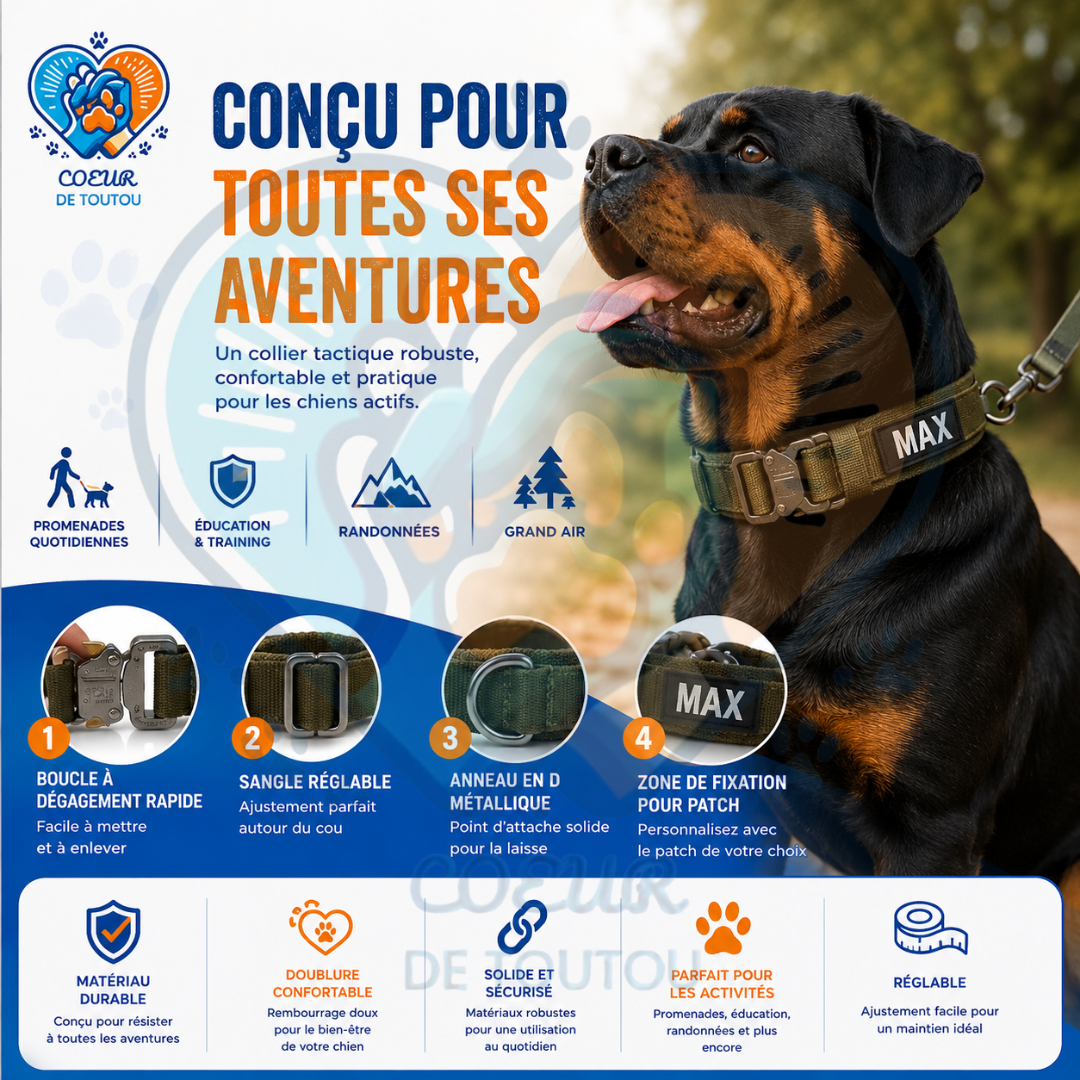collier pour chien tactique