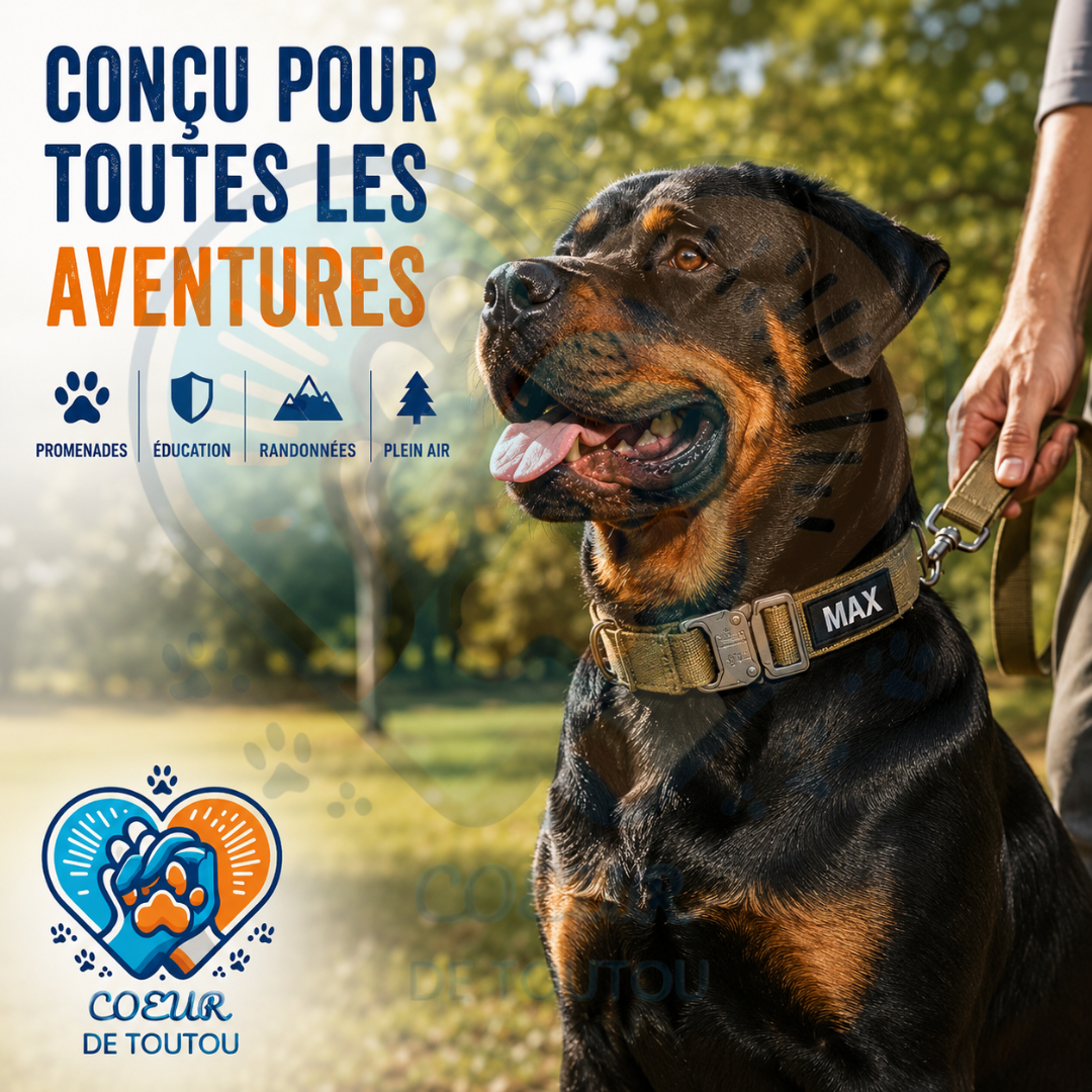 collier pour chien tactique