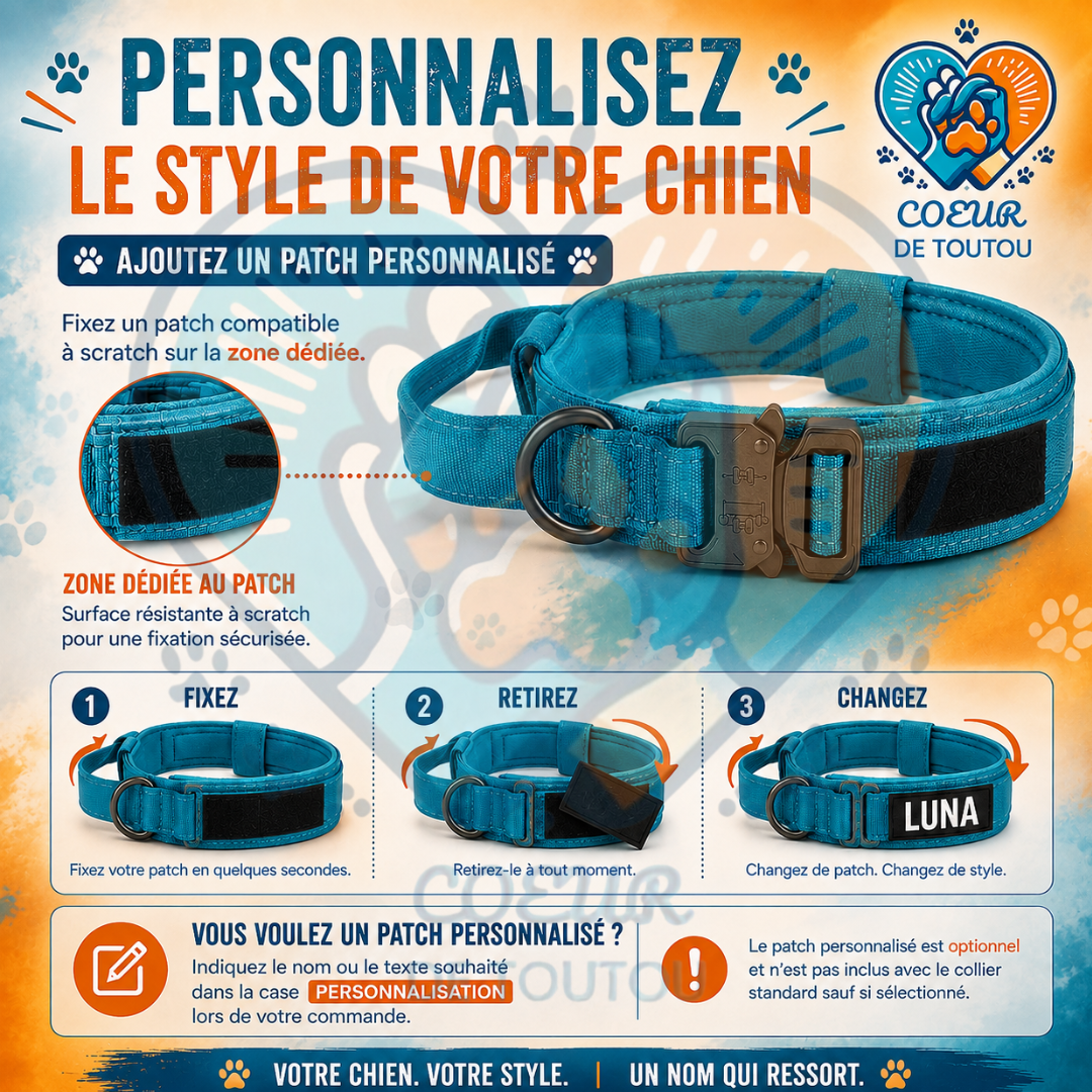 collier pour chien tactique