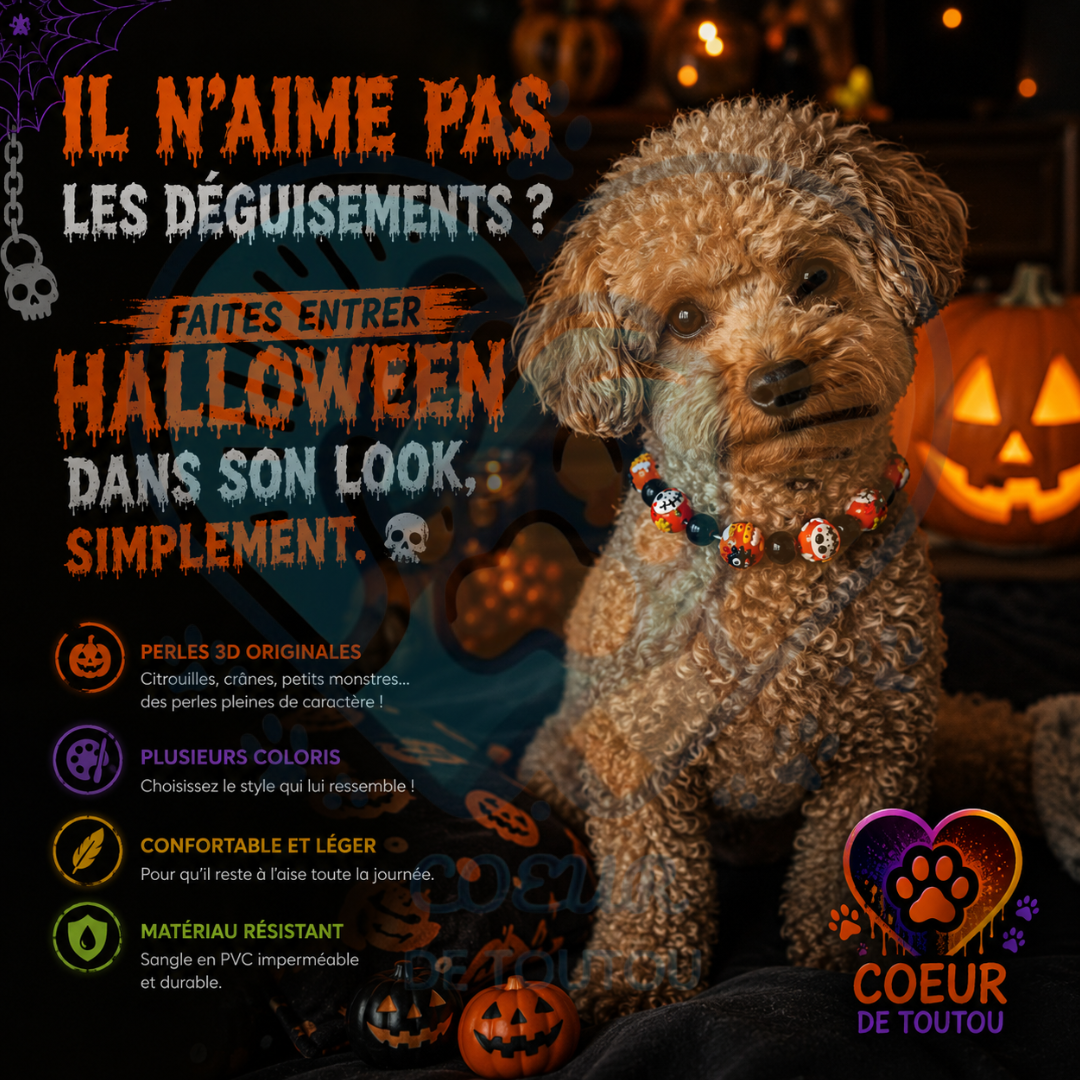 Collier Halloween pour Chien à Perles 3D | BooCollar™