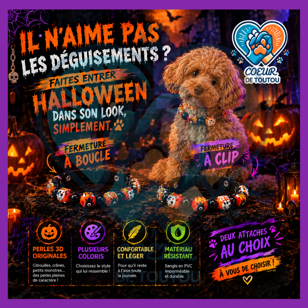 Collier Halloween pour Chien à Perles 3D | BooCollar™