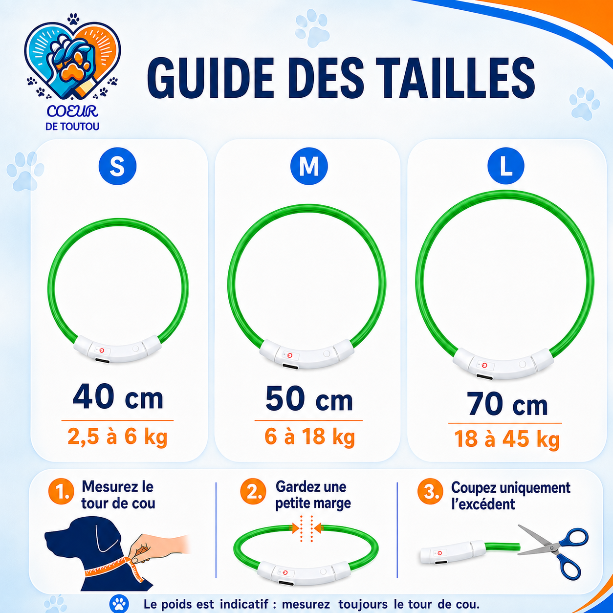 collier lumineux pour chien