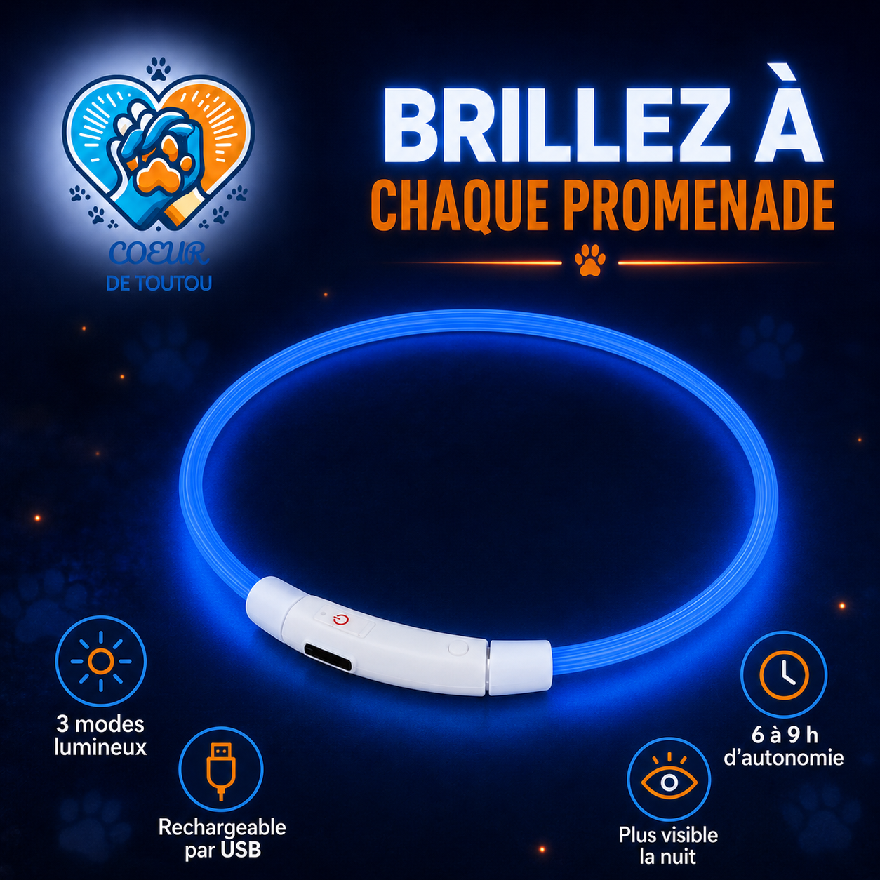 collier lumineux pour chien