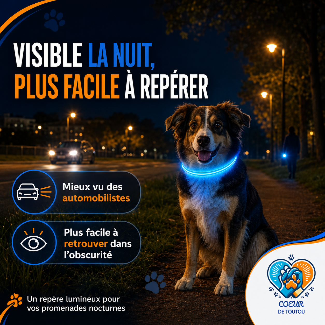 collier lumineux pour chien