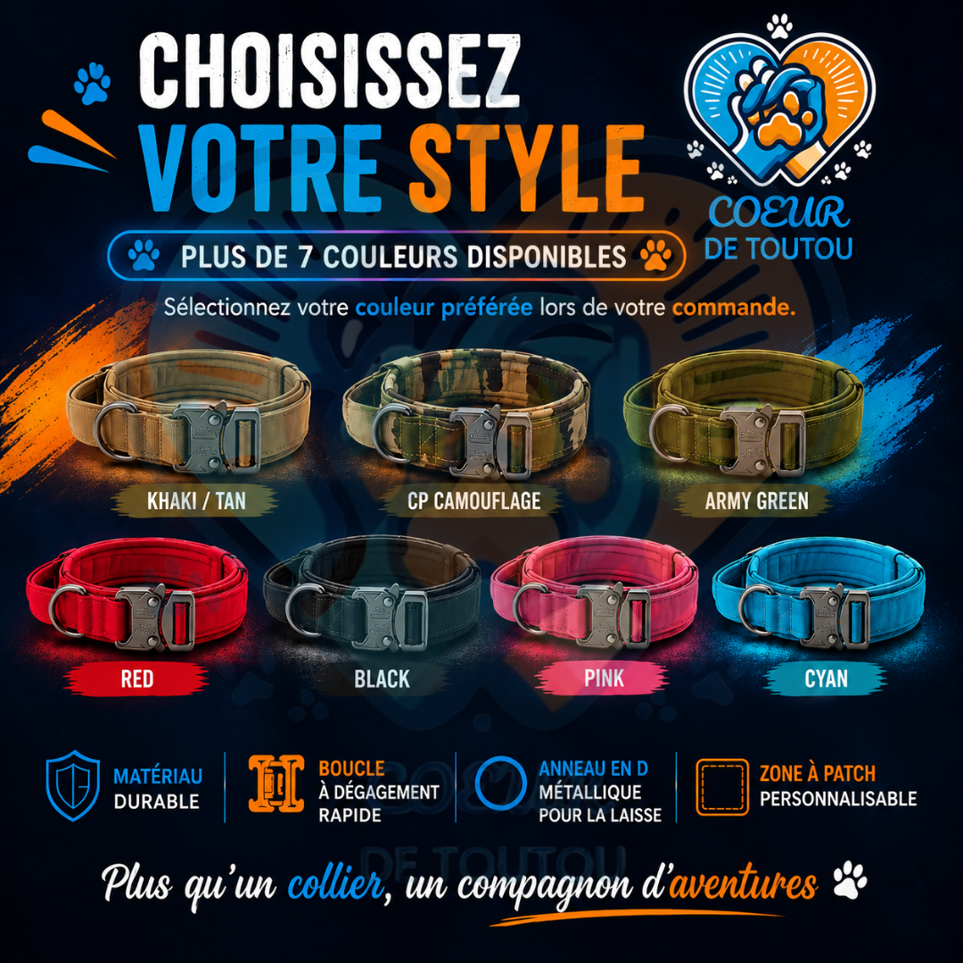 collier pour chien tactique