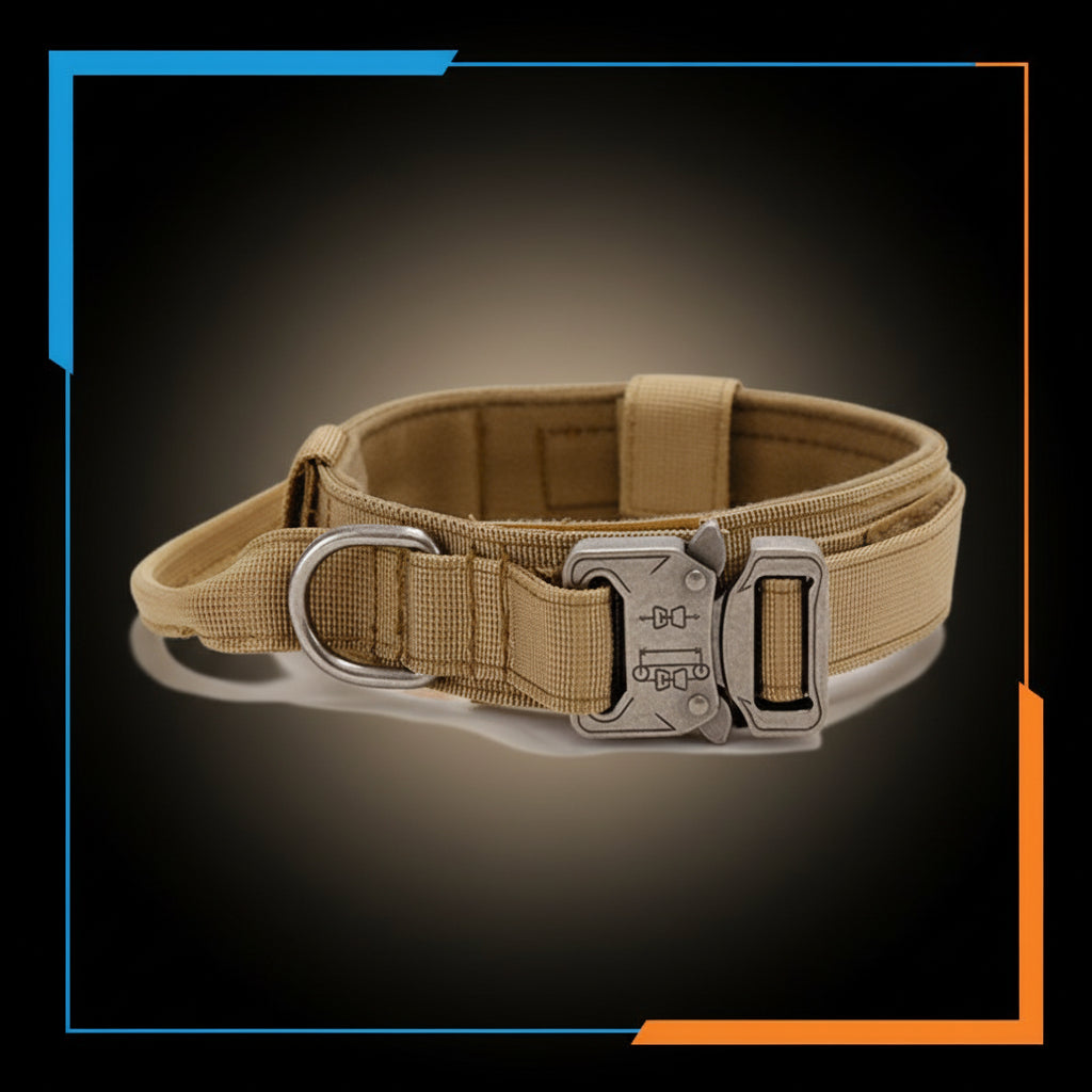 collier pour chien tactique