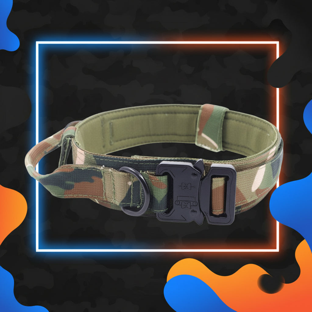 collier pour chien tactique