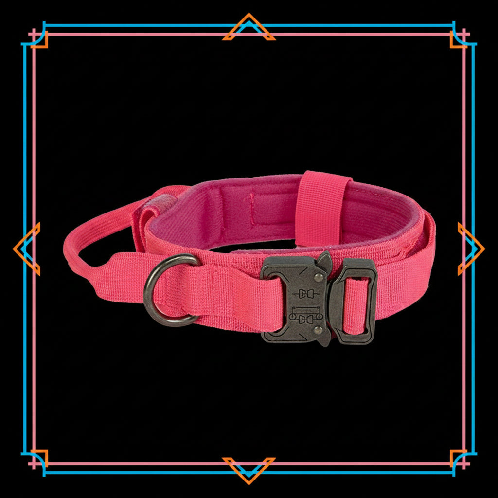 collier pour chien tactique