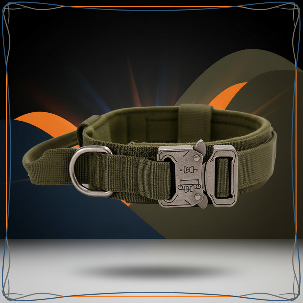 collier pour chien tactique