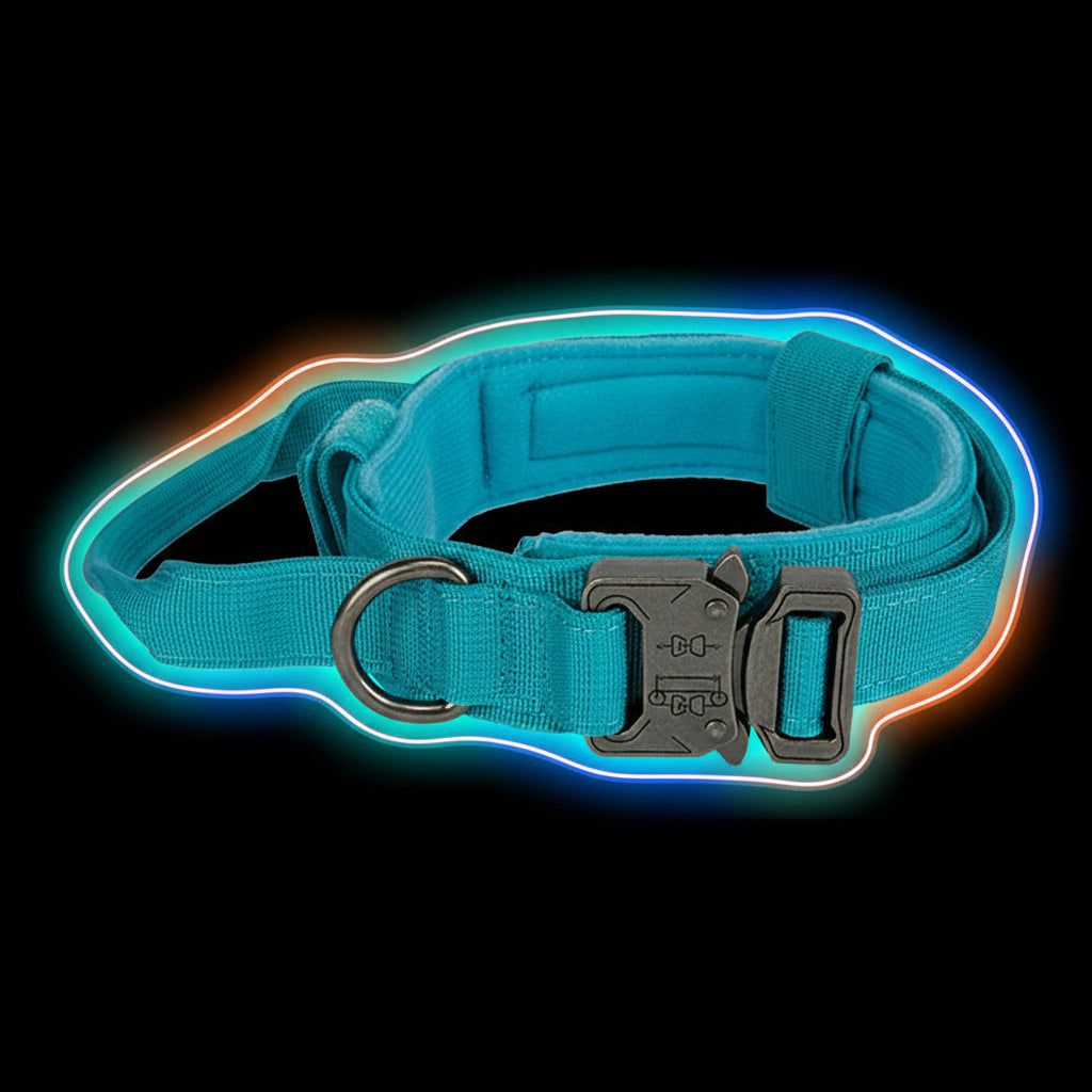 collier pour chien tactique