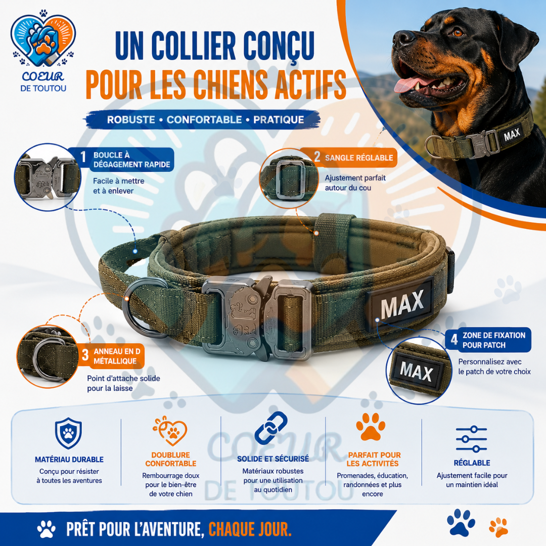 collier pour chien tactique
