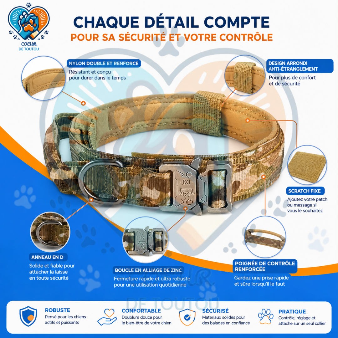 collier pour chien tactique