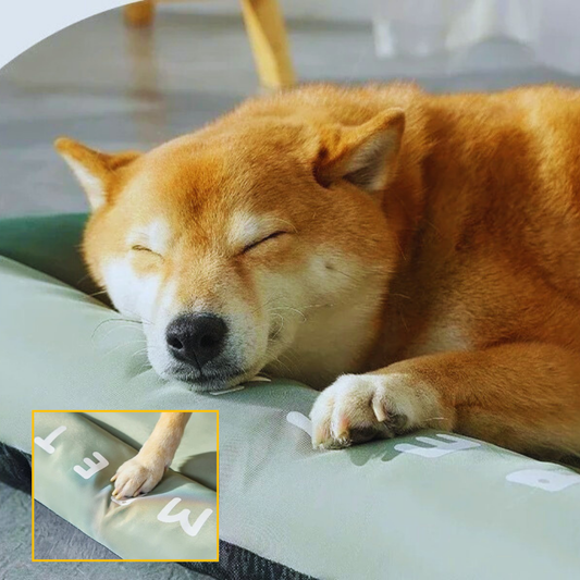 Coussin Imperméable pour Chien | ArmorRest™ - Confort Orthopédique & Résistance Extrême