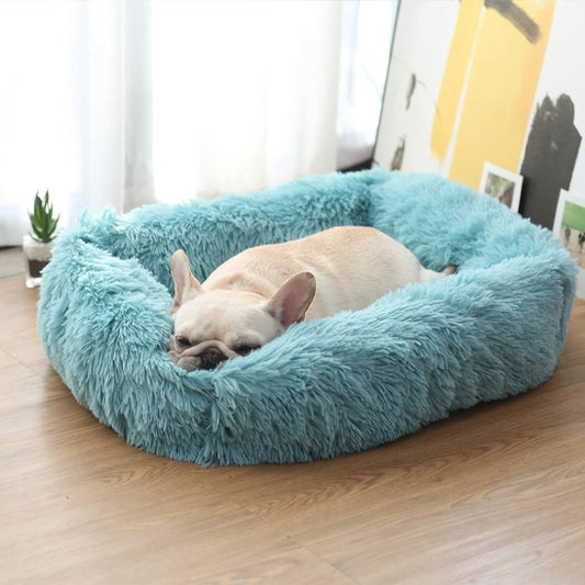 Coussin moelleux anti-anxiété pour chien | CalmCloud™ – Confort orthopédique & sommeil profond