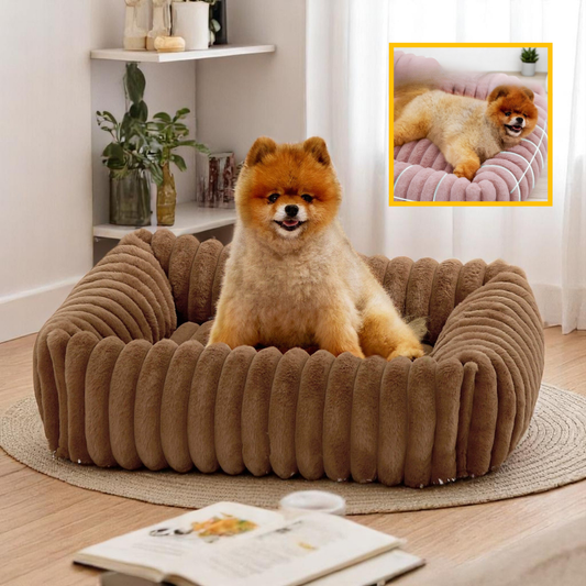 Chien confortablement installé dans un coussin orthopédique moelleux et déhoussable, parfait pour soulager les articulations et offrir un sommeil réparateur.

