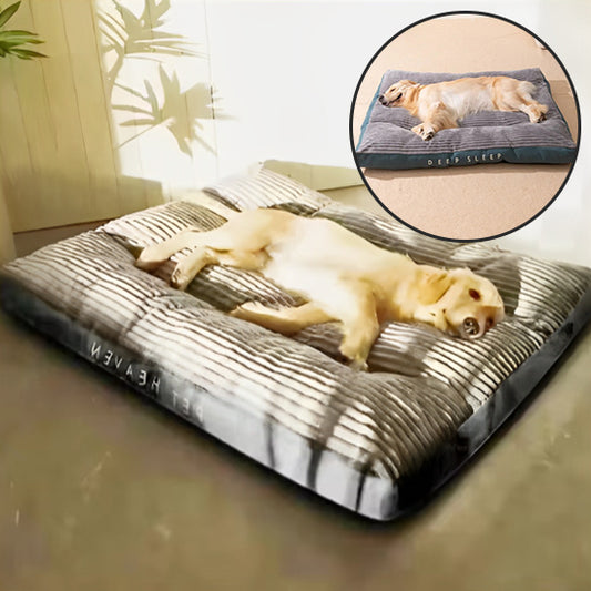 Coussin Confort pour Chien – Rembourrage Ultra Moelleux & Velours Élégant | DouxZenNest™