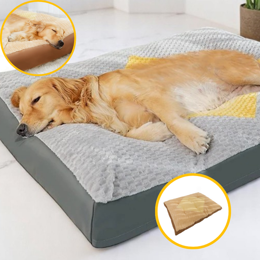 Coussin Grand Chien Déhoussable | SoftRest™