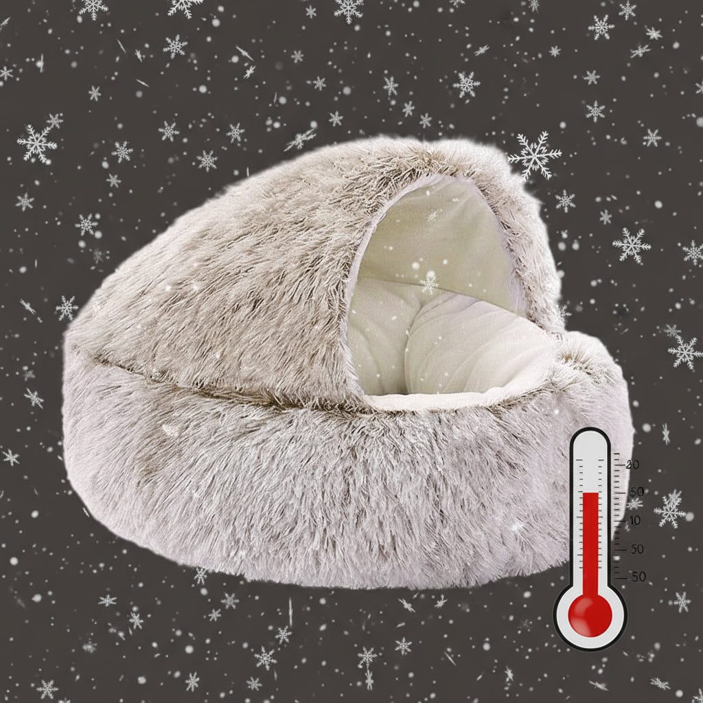 coussin pour chien café cocoonia