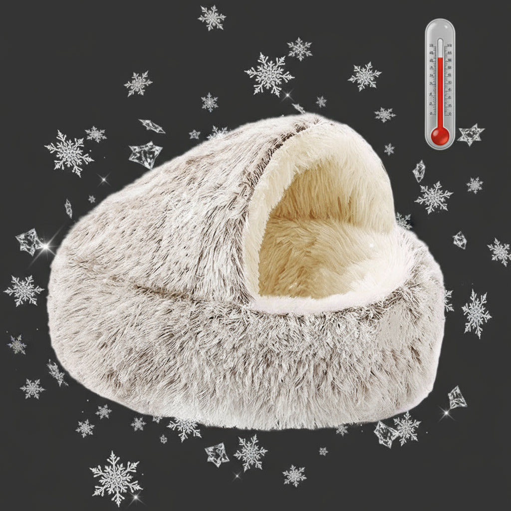 coussin pour chien café cocoonia