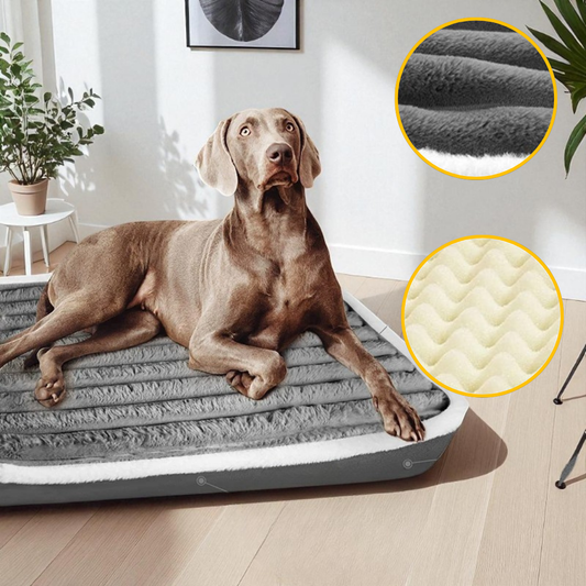 Coussin orthopédique pour chien grande taille | Snooziva™