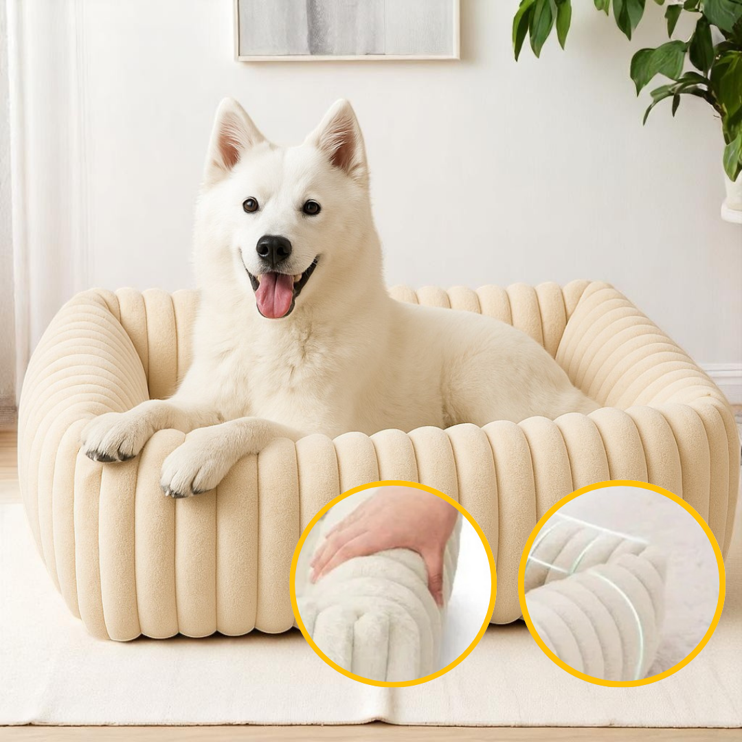 Chien installé dans un coussin orthopédique ultra moelleux, soulageant ses articulations et offrant un confort absolu.

