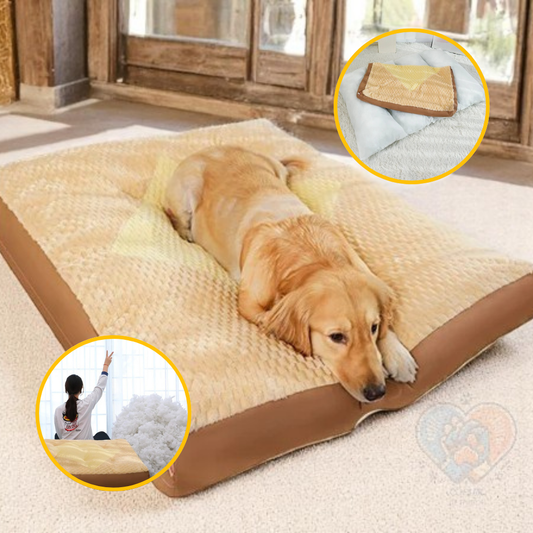 Coussin Grand Chien Déhoussable | SoftRest™
