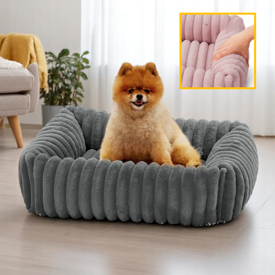 Panier orthopédique pour chien, élégant et doux, parfaitement intégré dans un intérieur moderne et chaleureux.