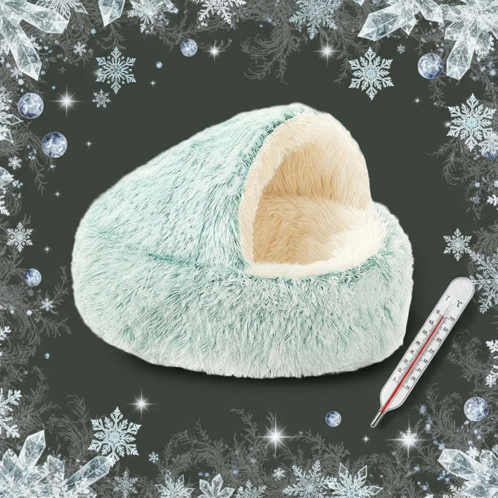 coussin pour chien vert cocoonia