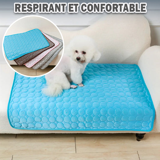 Couverture rafraîchissante pour chien | Freshzen™