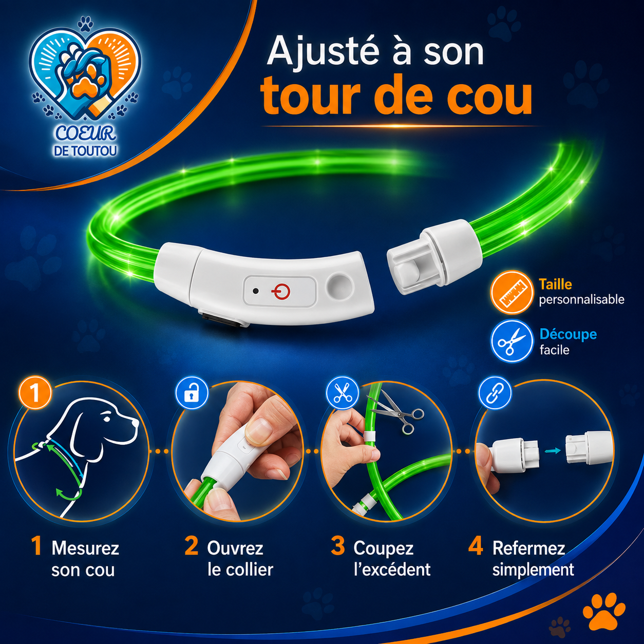 collier lumineux pour chien