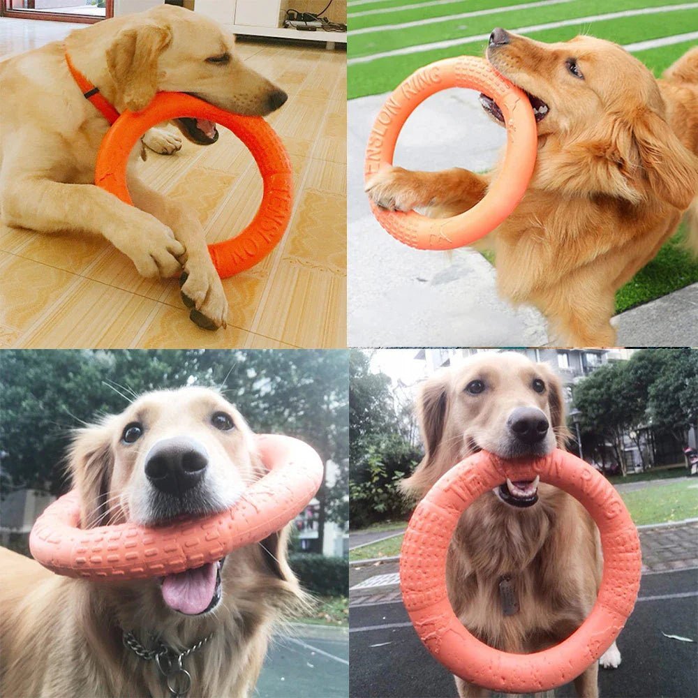 DogTrainingRing™ - Coeur de Toutou