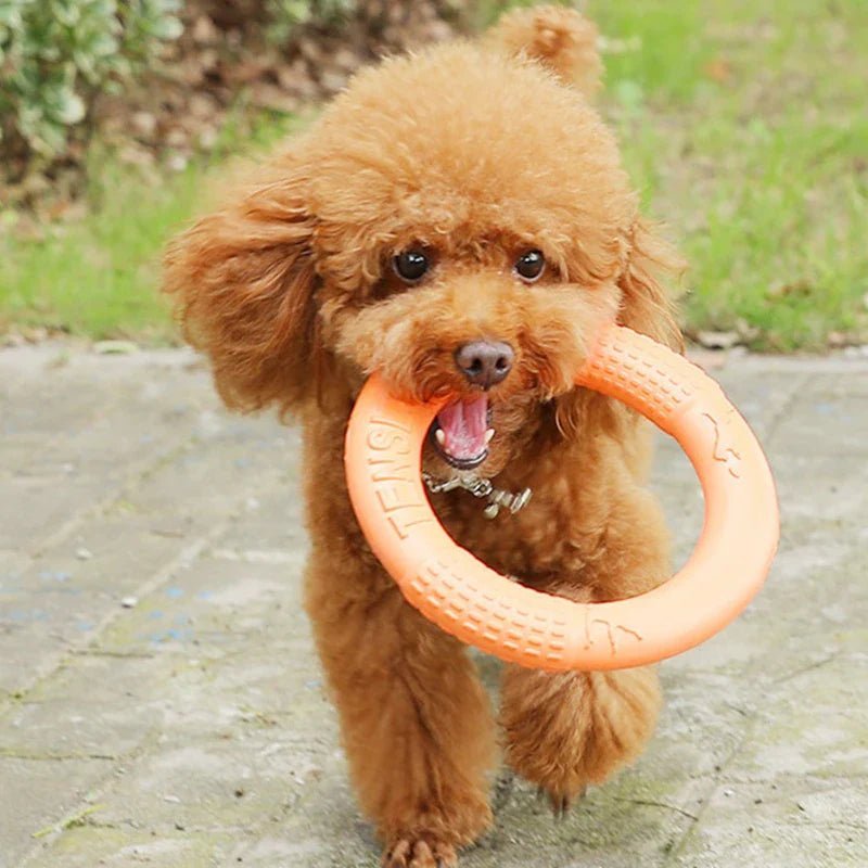 DogTrainingRing™ - Coeur de Toutou