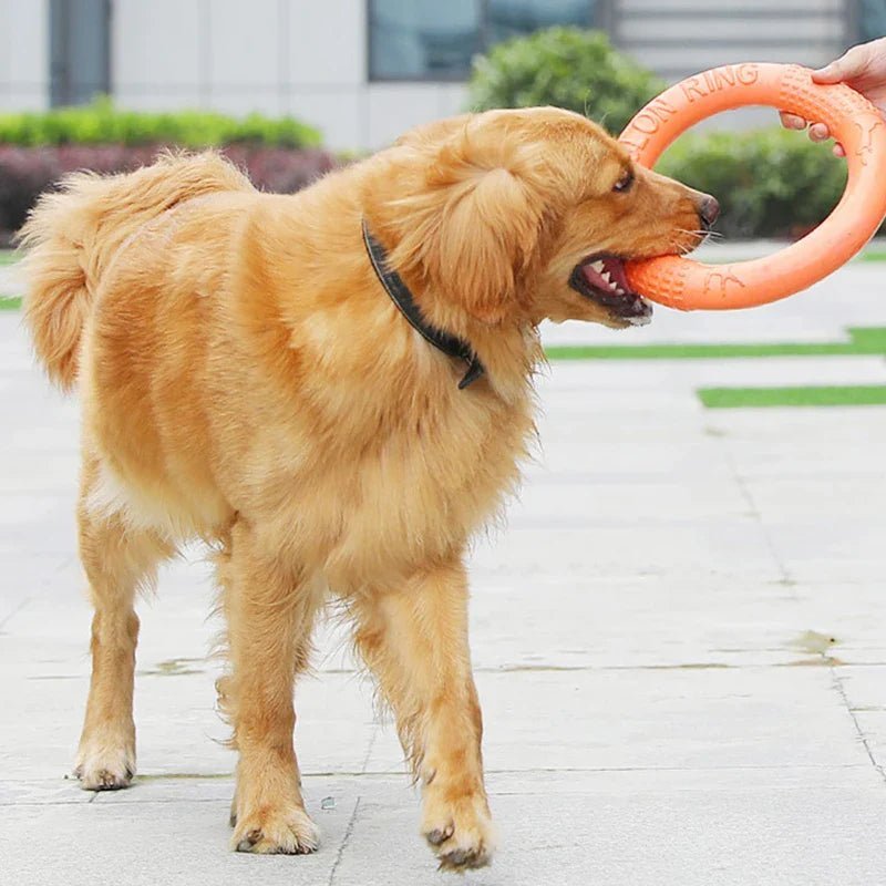 DogTrainingRing™ - Coeur de Toutou