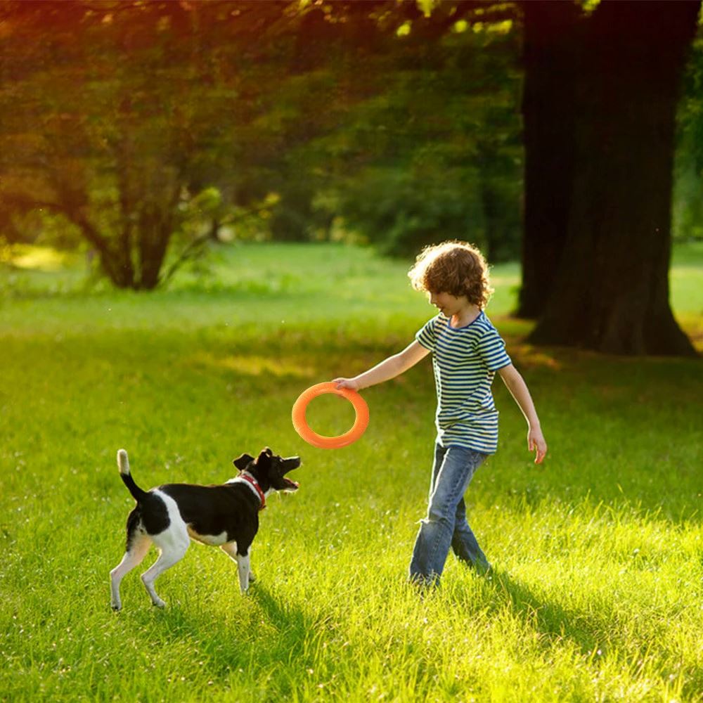 DogTrainingRing™ - Coeur de Toutou