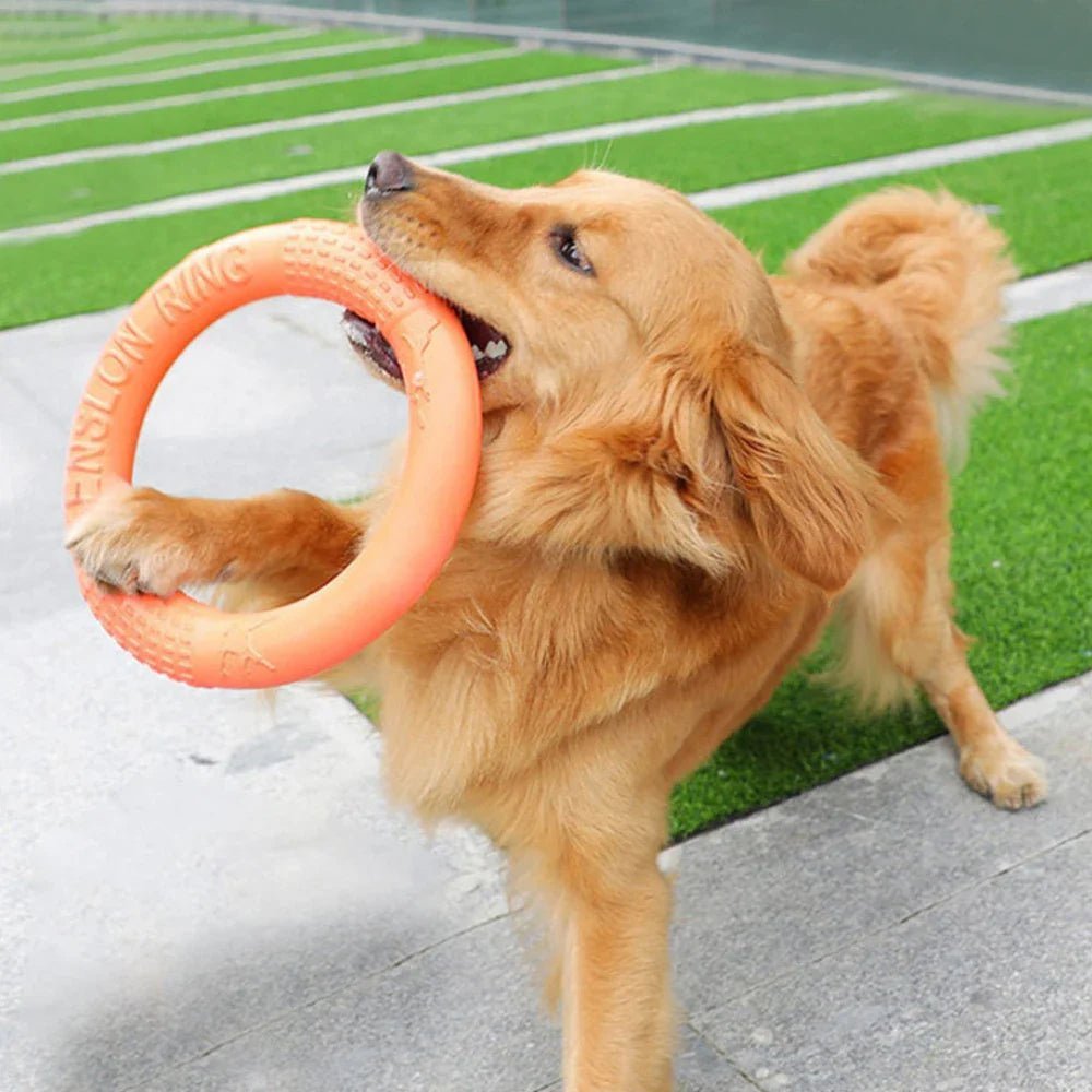 DogTrainingRing™ - Coeur de Toutou