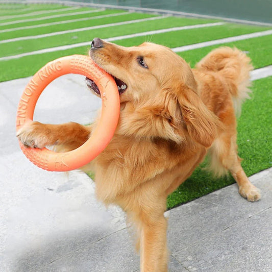 DogTrainingRing™ - Coeur de Toutou