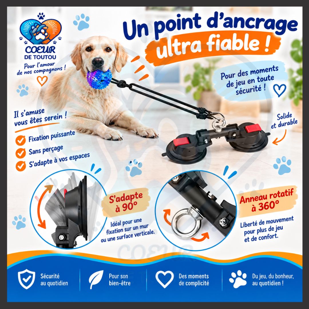 Ventouse de fixation avec anneau d’ancrage | DUO’GRIP™
